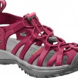 5124_beet_redhoneysuckle_3q
