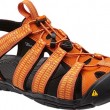 mclearwater_cnx_sunsetmarigold_3q